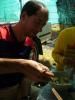gal/02-Asie/25-Thailande/02-Chiang_Mai/_thb_006free and peace 056.jpg